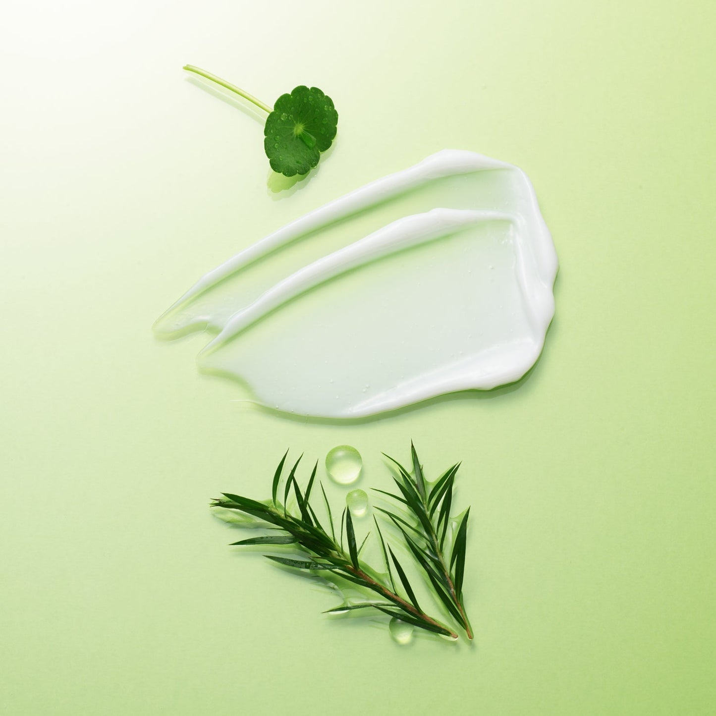 Green Derma Tea Tree Cica Soothing Cream-2